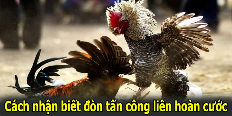 Cách nhận biết đòn tấn công liên hoàn cước