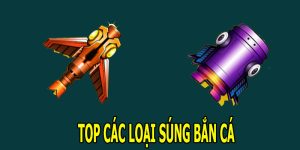 Điểm Danh Top Các Loại Súng Bắn Cá Phổ Biến Nhất Hiện Nay