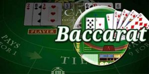 Tool Dự Đoán Baccarat Với 4 Nguyên Lý Hoạt Động Hiện Đại