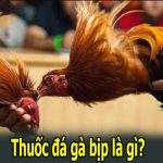 Thuốc Đá Gà Bịp Là Gì - Hiểu Rõ Và Tránh Xa Những Rủi Ro