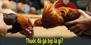 Thuốc Đá Gà Bịp Là Gì - Hiểu Rõ Và Tránh Xa Những Rủi Ro